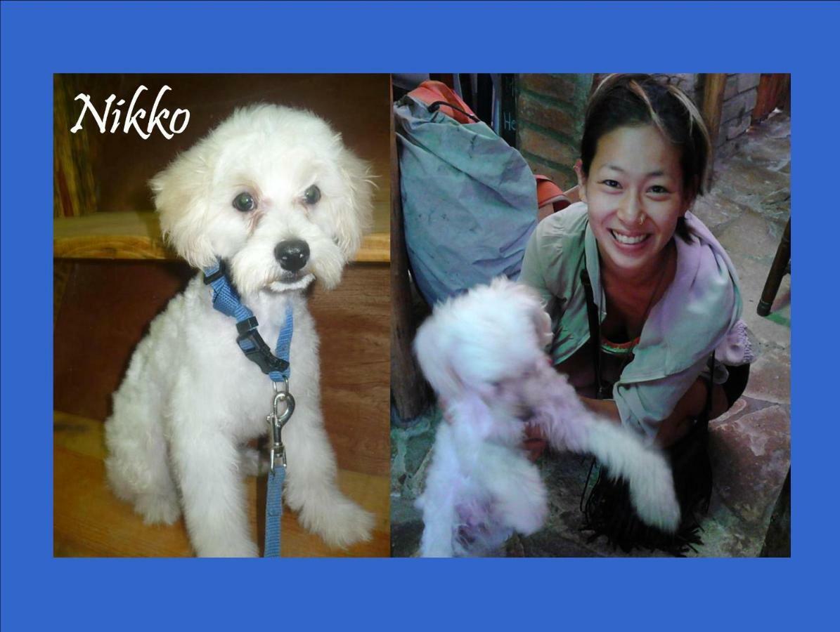 Hostel Julieta ริวาส ภายนอก รูปภาพ